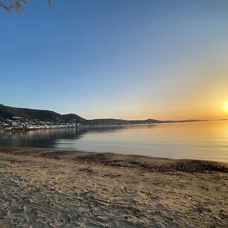 Octopus House Feriehus *